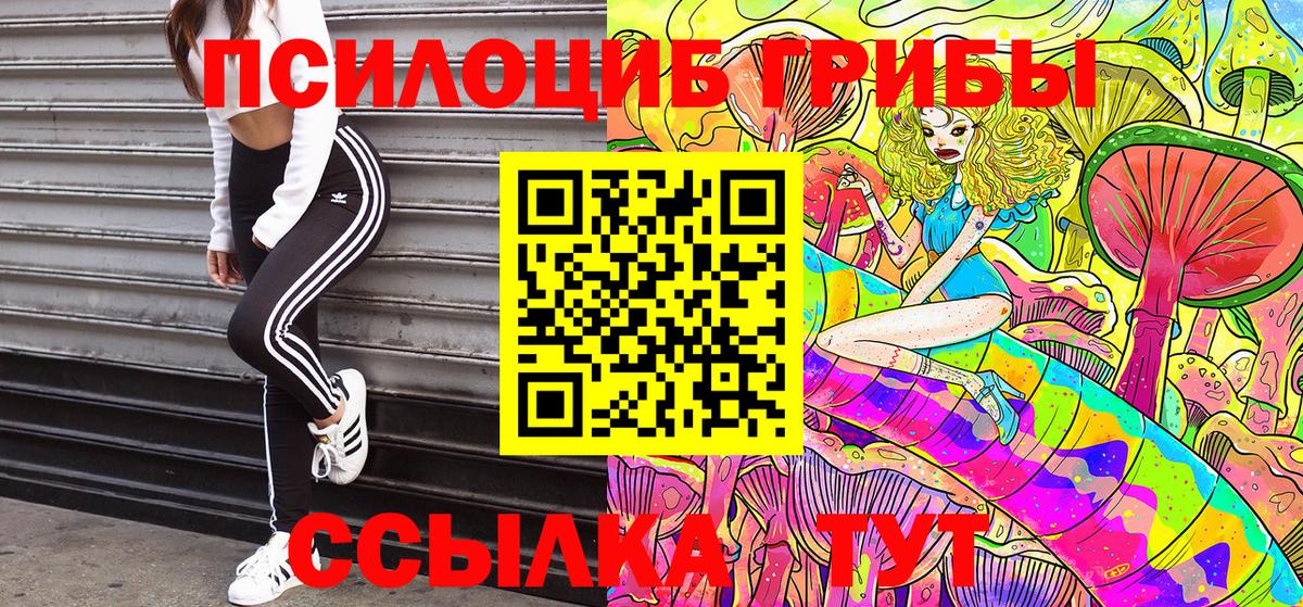 Заинск  Галлюциногенные грибы Cubensis  Вход с VPN  Галлюциногенные грибы Magic Shrooms 