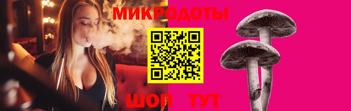 Галлюциногенные грибы Cubensis Заинск